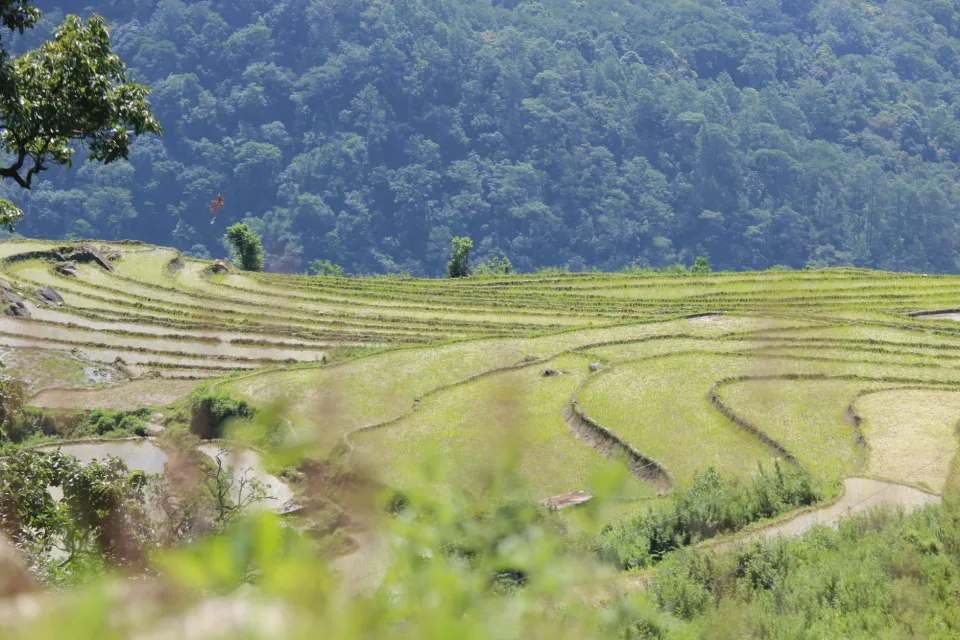 Kho gạo của Dương Đình Tuyên